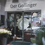 Der Gollinger 酒店 萨尔巴赫
