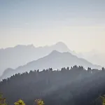 Der Gollinger Hotel Saalbach-Hinterglemm