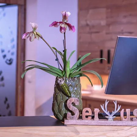 Der Gollinger Saalbach-Hinterglemm