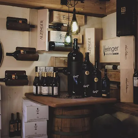 Der Gollinger 4* Saalbach-Hinterglemm