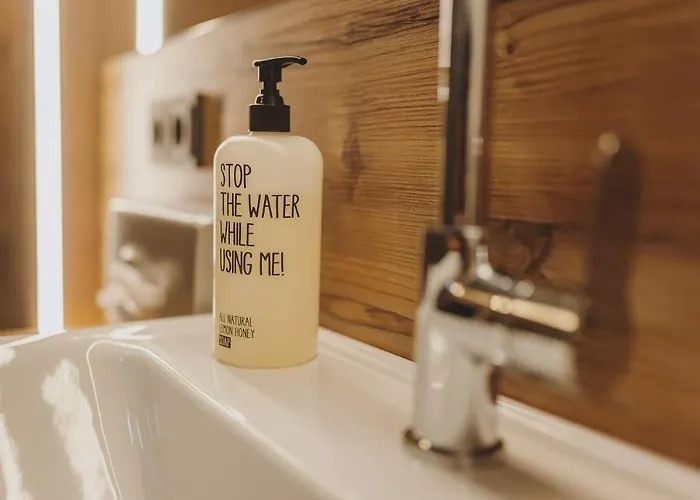 Der Gollinger Saalbach Hinterglemm